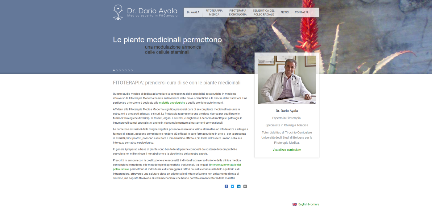 new-visibility-agenzia-realizzazione-siti-web-ayala