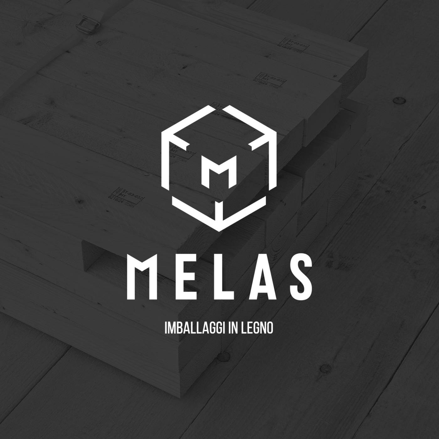 new-visibility-agenzia-comunicazione-marketing-digitale-cantu-provincia-como-logo-brand-melas-anteprima