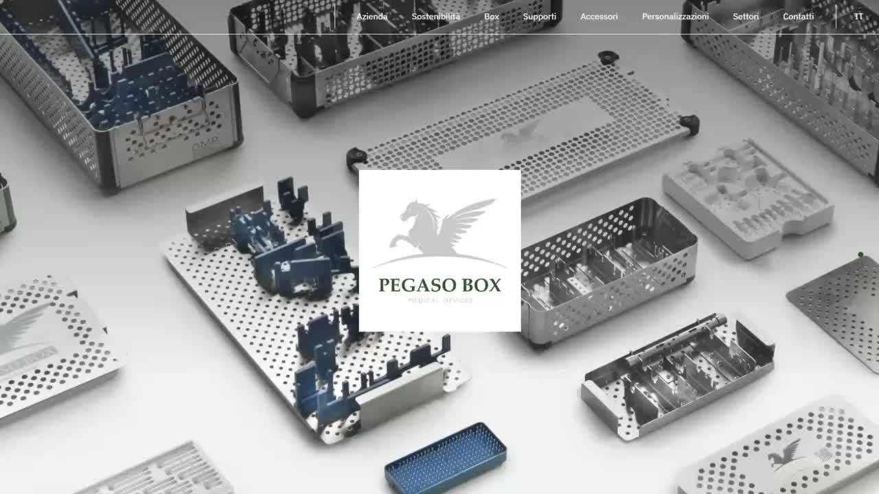 pegaso-box-sviluppo-sito-web-preview.jpg