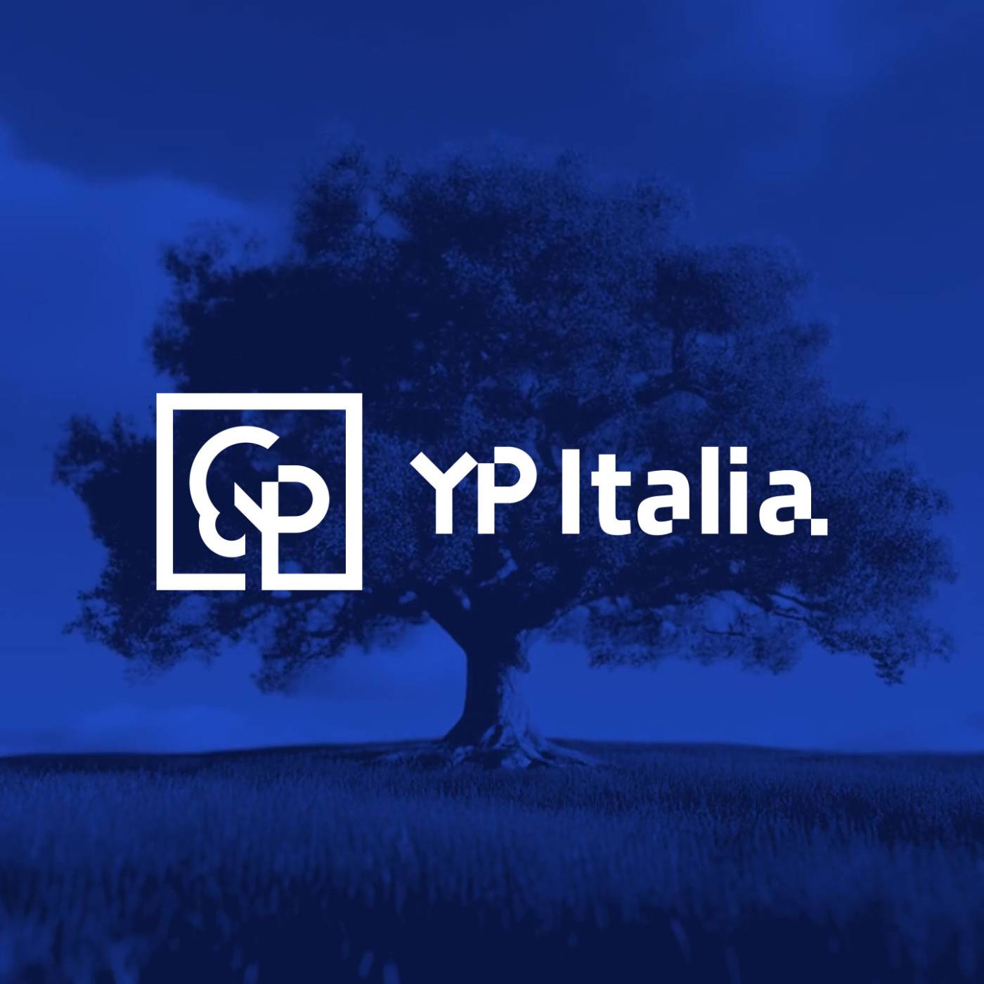 yp-italia-logo-01.jpg