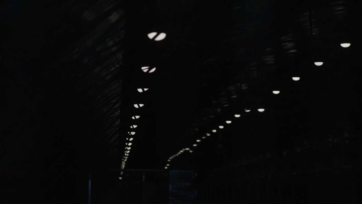 corporate-e-allevamenti-cover.jpg