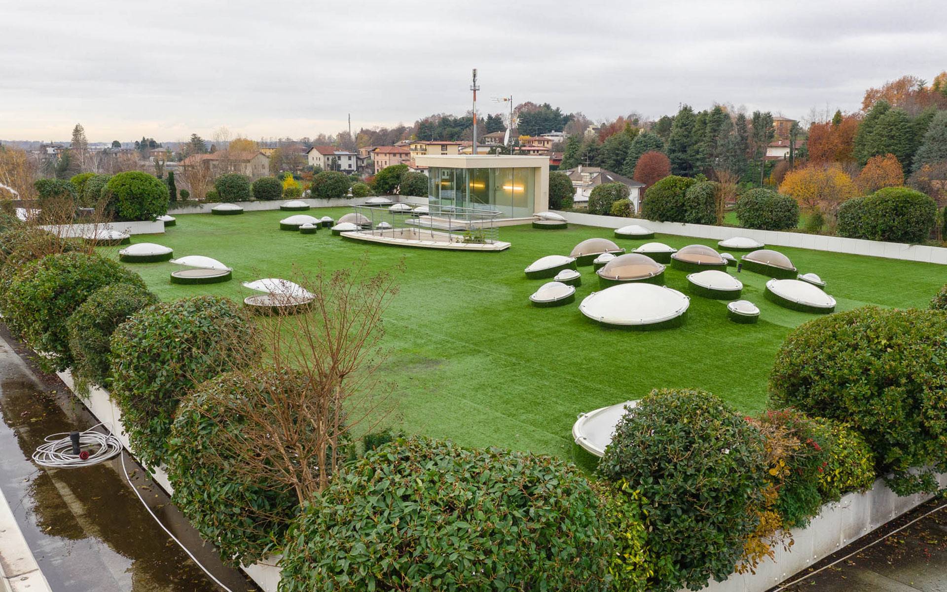 bema-giardini-manutenzione-giardini-erba.jpg