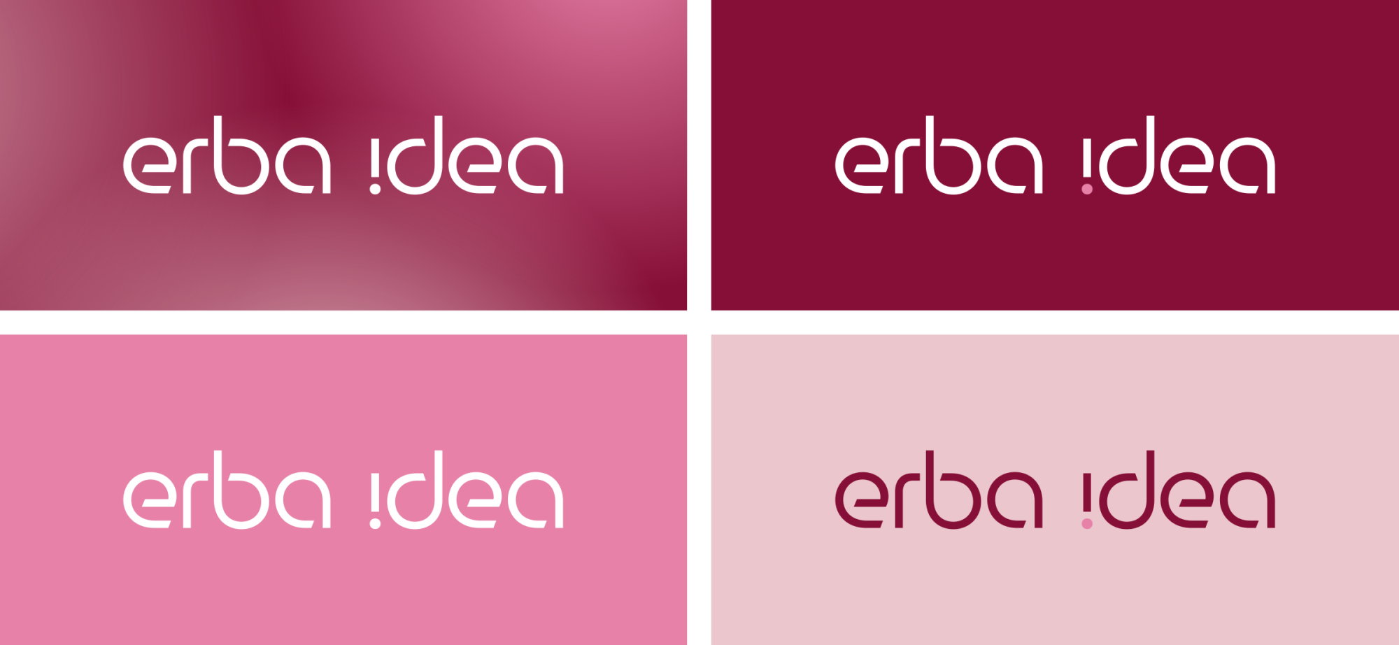 new-visibility-agenzia-comunicazione-marketing-digitale-cantu-provincia-como-logo-brand-erba-6