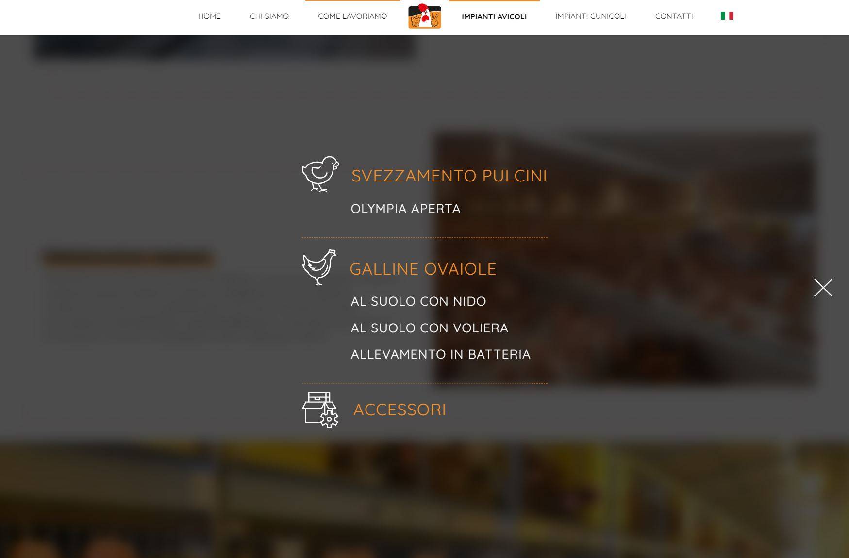 clerici-realizzazione-sito-internet.impianti-avicoli-cunicoli-08.jpg