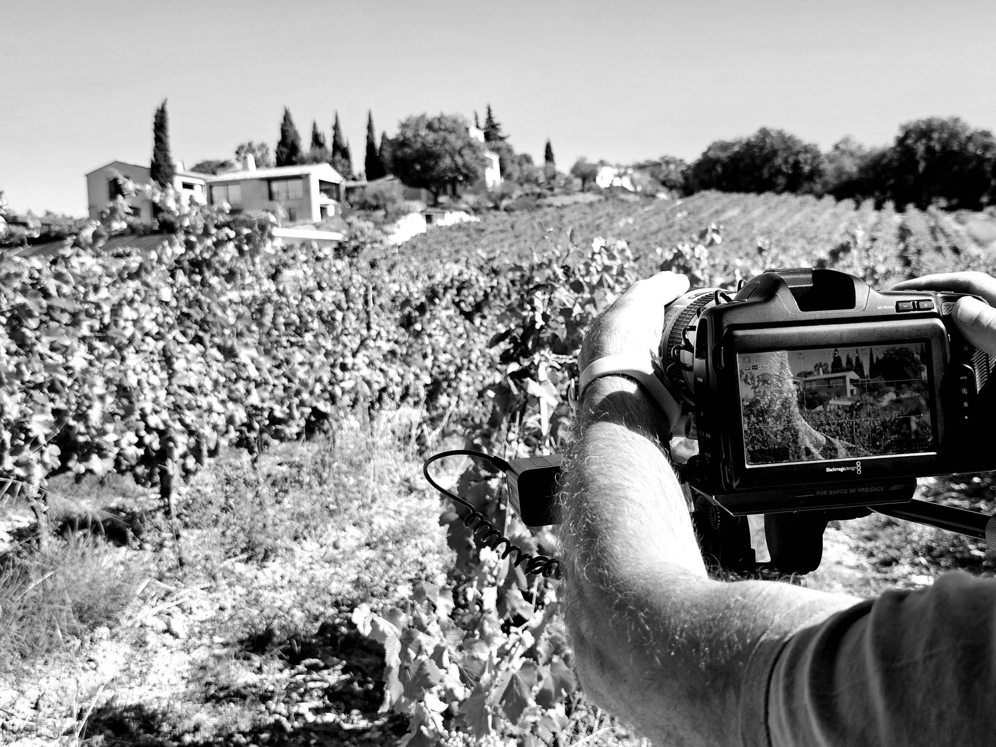 new-visibility-agenzia-comunicazione-marketing-digitale-cantu-provincia-como-camera-professionale-04