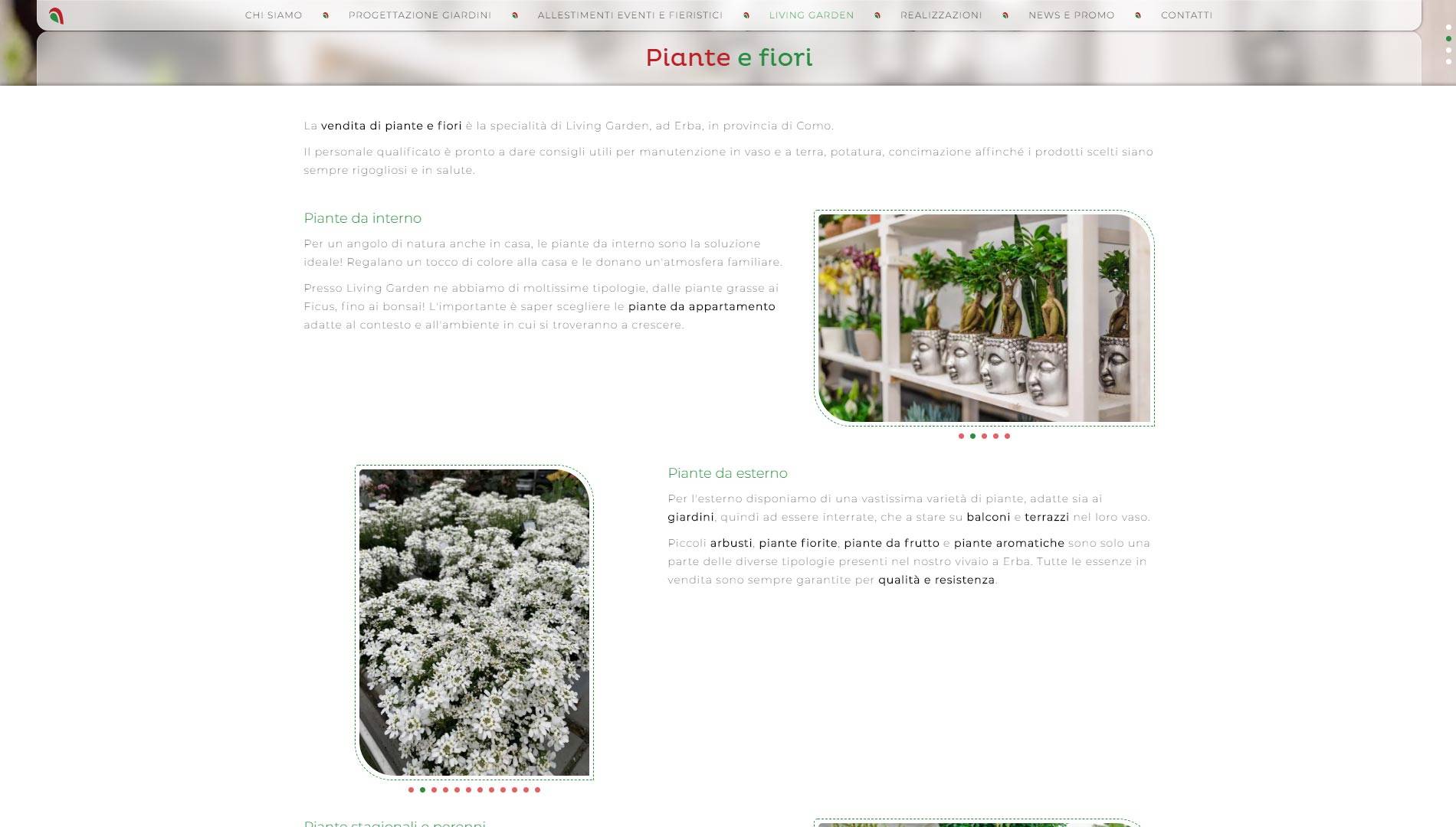 creazione-sito-internet-bema-giardini-agenzia-di-comunicazione-cantu-newvisibility5.jpg